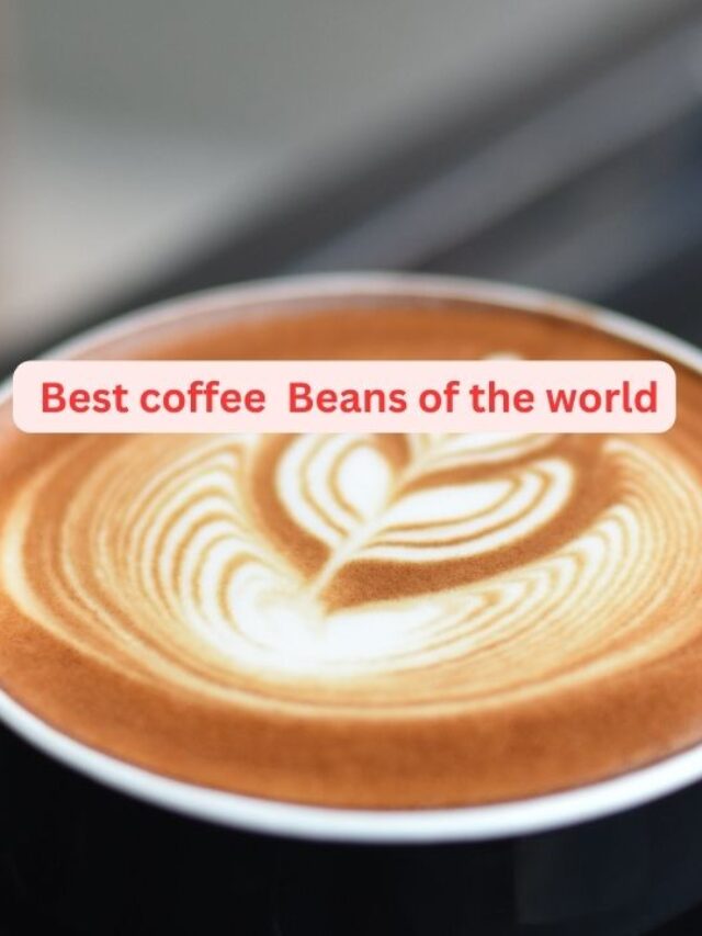 Best Coffee Beans in the world